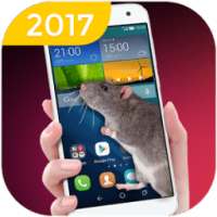 Mouse On Screen Scary Joke & Mouse in Phone Prank on 9Apps