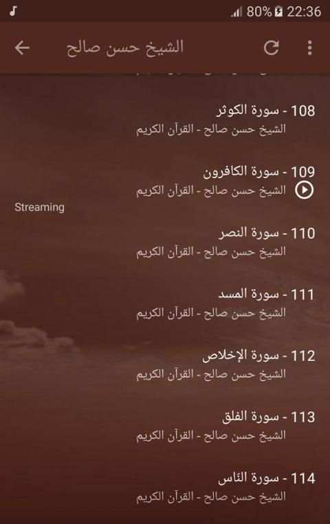 الشيخ حسن صالح القران كامل screenshot 5