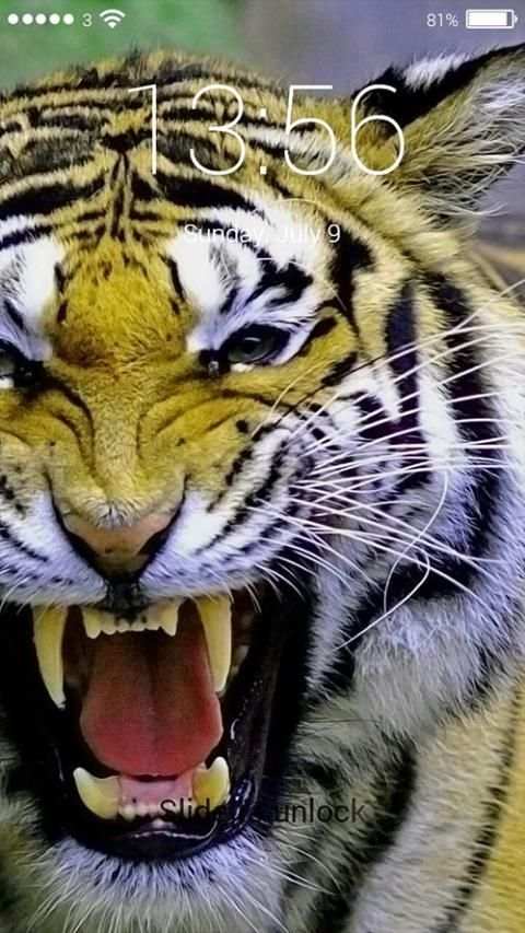 Finger Tiger Lock Screen screenshot 2