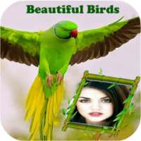 Beautiful Birds Photo Frames New on 9Apps