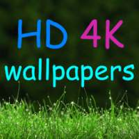 HD 4K Wallpapers on 9Apps