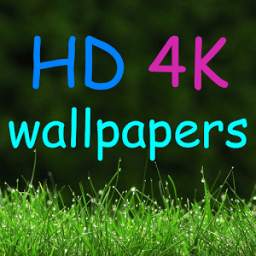 HD 4K Wallpapers 1.0.0.2