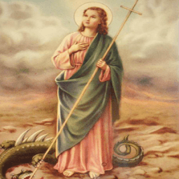 Novena a Santa Marta icon