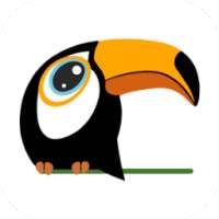 Toucan Browser