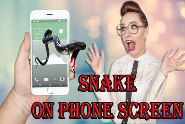 Snake On Phone Screen Prank screenshot 8