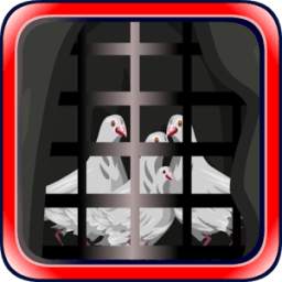 Escape Games Zone-234 v1.0.1