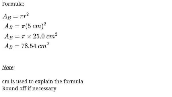 Math Problem Solver скриншот 4