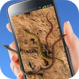 ikon Live Wallpaper Snake Layar