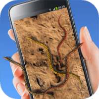 Live Wallpaper Snake Layar
