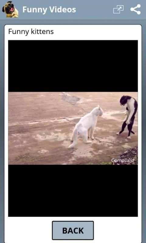 FunnyVideo screenshot 4