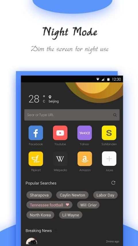 Goldeness Browser - Small, fast, private, easy use screenshot 1