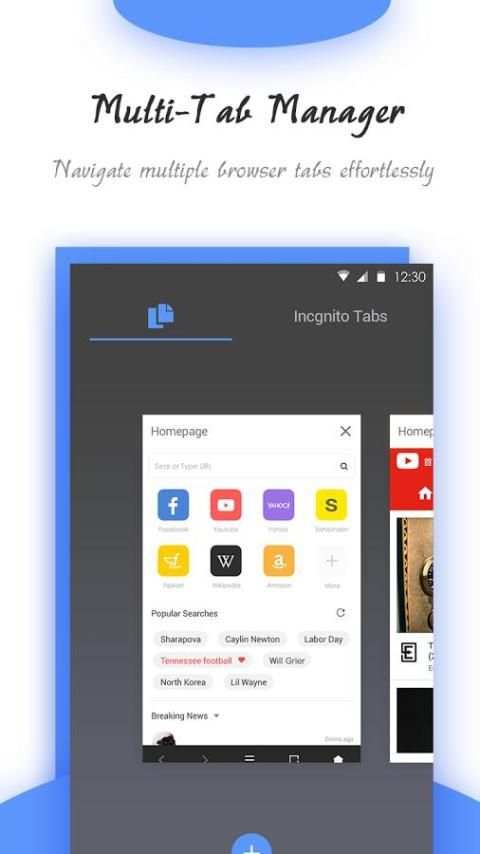 Goldeness Browser - Small, fast, private, easy use screenshot 4