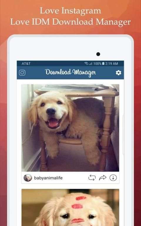 IDM Download Manager for Instagram screenshot 1