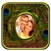 Peacock Feather Photo Frames on 9Apps