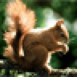MobDecor Squirrels Wallpapers 1.2