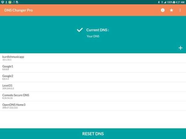 DNS Changer PRO скриншот 2