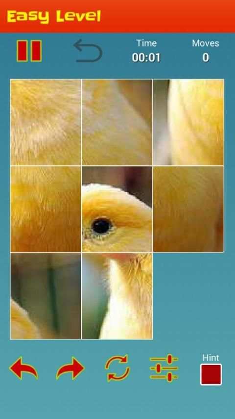 Bird's Picture Puzzle Game - IQ Test For Brain screenshot 4