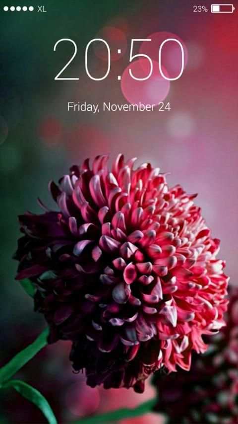 Beautiful Flower Lock Screen скриншот 2