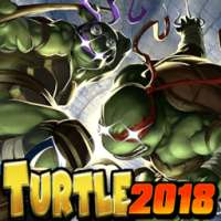 Turtle Ninja Warrior Adventure