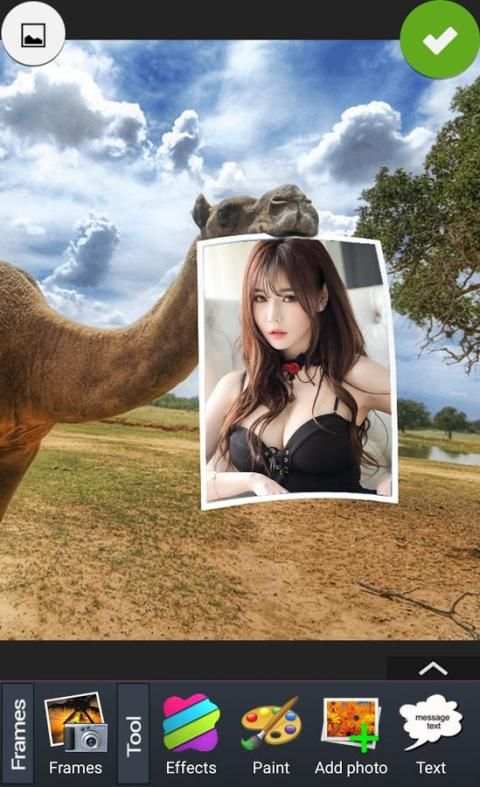 Animal Photo Frames screenshot 1