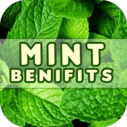 Mint Benefits