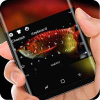 Red Koi Fish Keyboard Good Fortune Theme on 9Apps