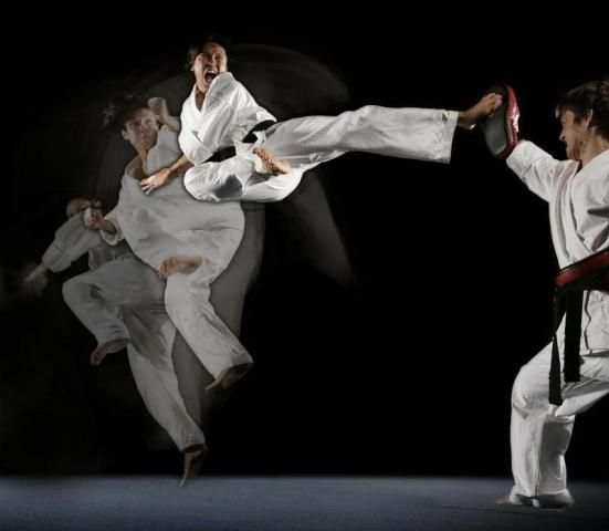 Learn Martial Arts screenshot 3
