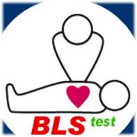 BLS test 2008