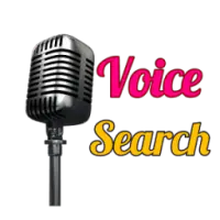 Voice Search For Google