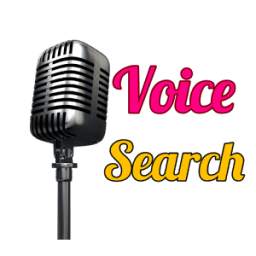Google_Voice_Search 1.0