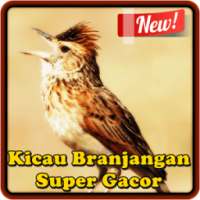 Kicau Branjangan Super Gacor on 9Apps