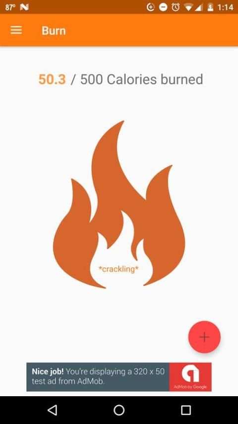 Burn screenshot 5