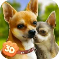 Chihuahua Simulator 3D