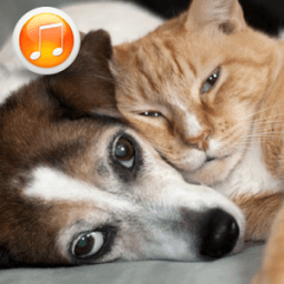 Animal Sounds Ringtones иконка
