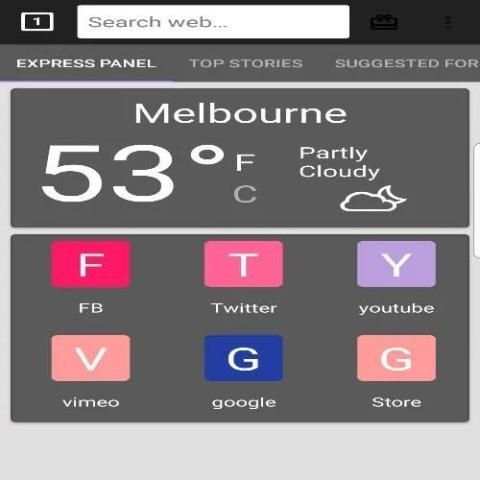 SS Browser स्क्रीनशॉट 1