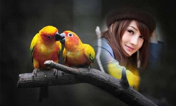 Birds Photo Frames स्क्रीनशॉट 4