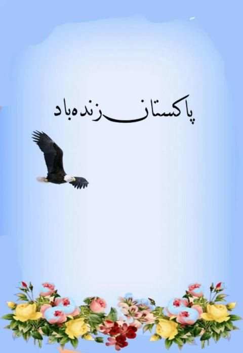 Urdu Post Maker screenshot 3