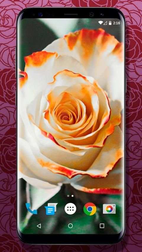 3D Rose Live Wallpaper screenshot 2