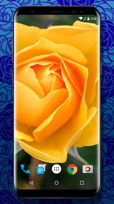 3D Rose Live Wallpaper screenshot 3