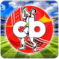 Live Cricket Buzz : Live Cricket Line Scores