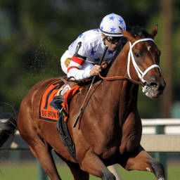 Horse racing India आइकन