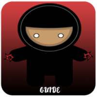 Guide Ninja Gaiden II