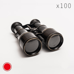ikon Digital Binoculars