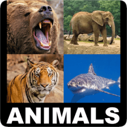 ikon Animal Encyclopedia