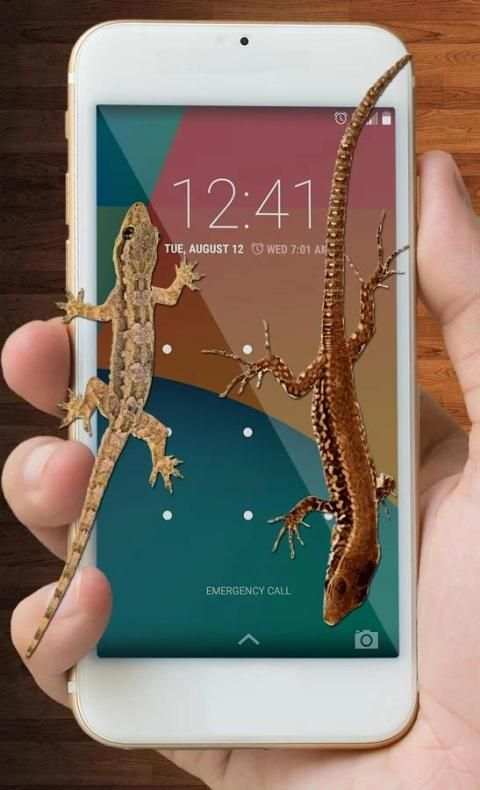 Lizard On Screen स्क्रीनशॉट 1