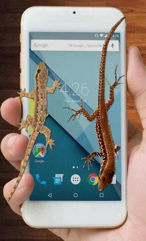 Lizard On Screen स्क्रीनशॉट 4