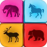 Animals Quiz