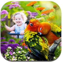 Love Birds Photo Frames HD