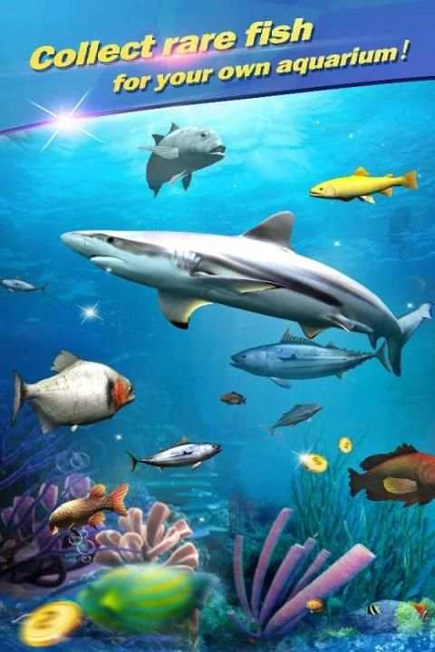 Fishing - Catch hungry shark screenshot 13