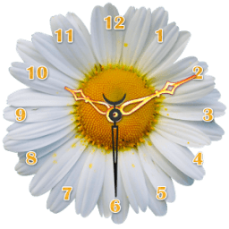 Daisy Flower Clock आइकन